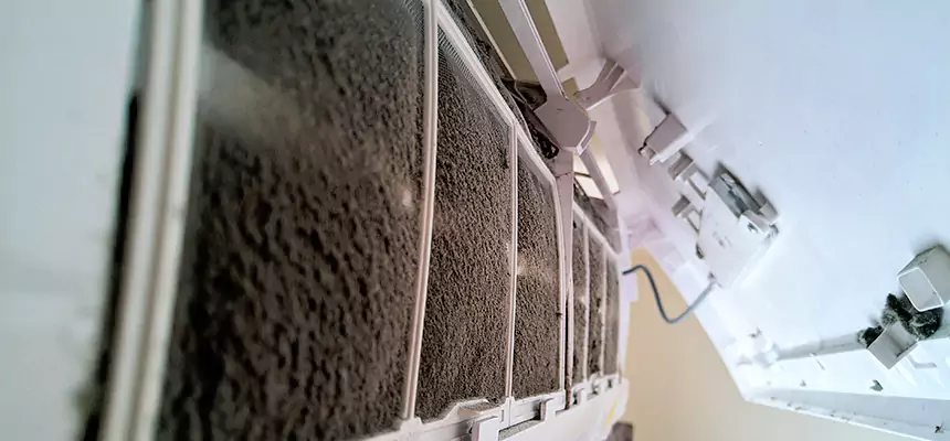 Preventive Air Duct Bacteria Removal in Yakima