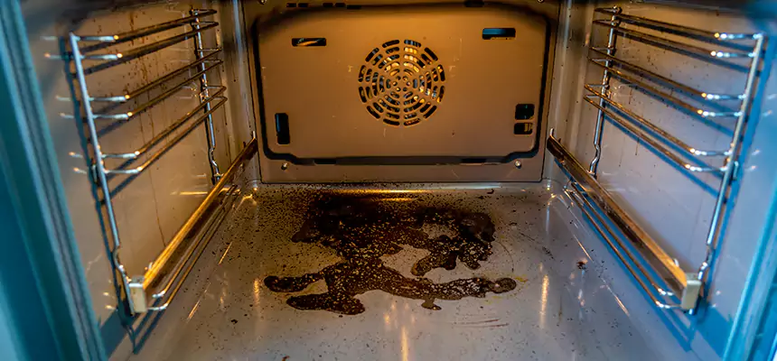 Our Dryer Vent Mold Cleaning Services in Yakima, WA