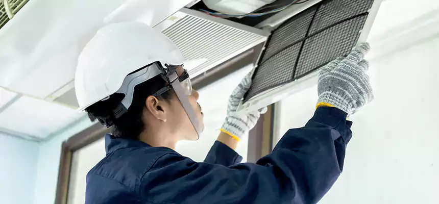 Our Mold & Mildew Removal from Air Ducts Services in Yakima, WA