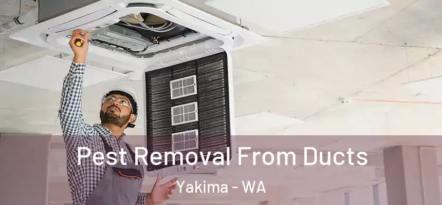 Pest Removal From Ducts Yakima - WA