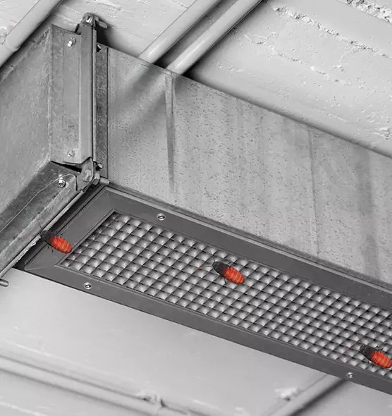Affordable Insect Removal from Air Ducts in Yakima, WA